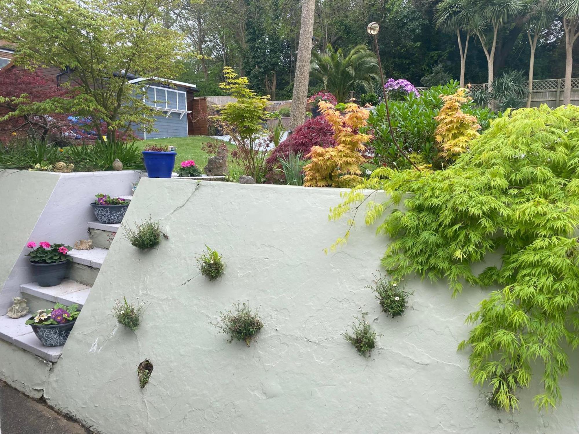 The Belmont Otel Shanklin Dış mekan fotoğraf