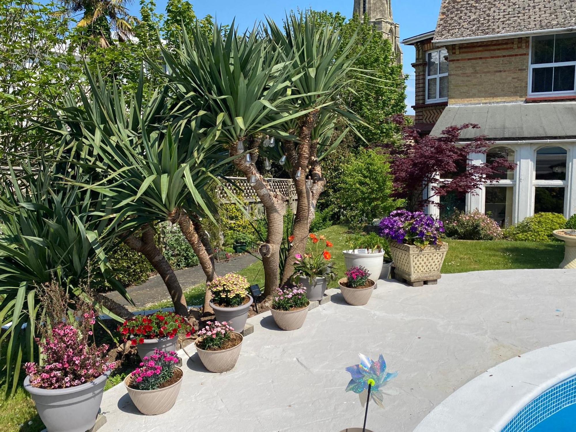 The Belmont Otel Shanklin Dış mekan fotoğraf